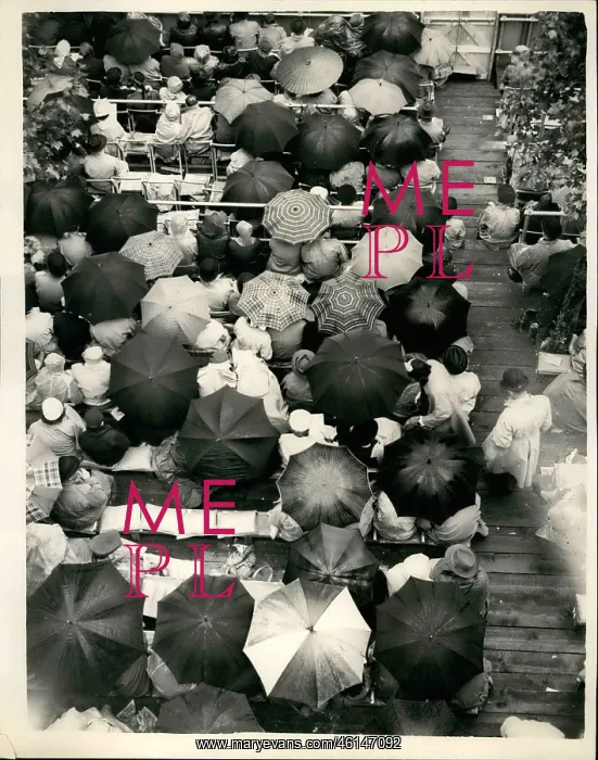 : Aerial view of umbrellas, Coronation procession, London : Aerial view of umbrellas, Coronation procession, London