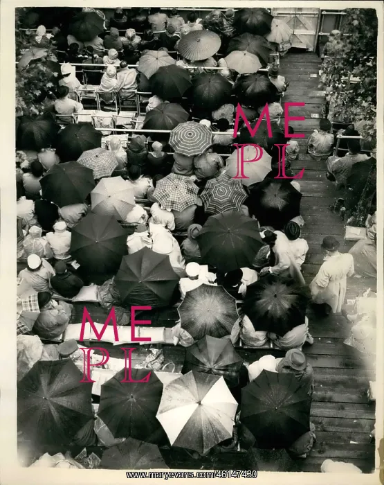 : Aerial view of umbrellas, Coronation procession, London : Aerial view of umbrellas, Coronation procession, London
