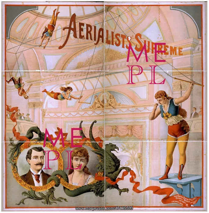  : Aerialists supreme