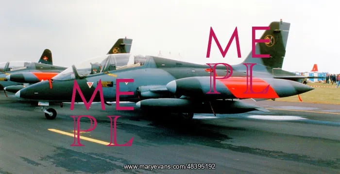 : Aermacchi MB-339A MM54459 - 61-13 : Aermacchi MB-339A MM54459 - 61-13