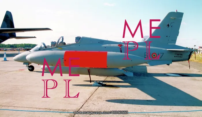 : Aermacchi MB-339A MM54463 - 61-17 : Aermacchi MB-339A MM54463 - 61-17