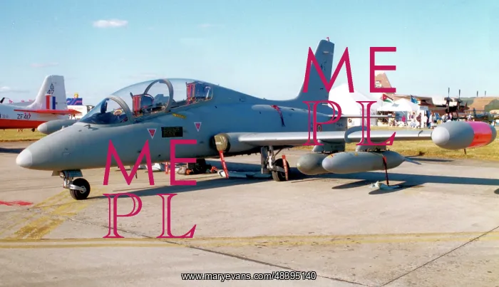 : Aermacchi MB-339A MM54463 - 61-17 : Aermacchi MB-339A MM54463 - 61-17
