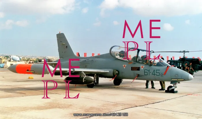 : Aermacchi MB-339A MM54499 - 61-45 : Aermacchi MB-339A MM54499 - 61-45