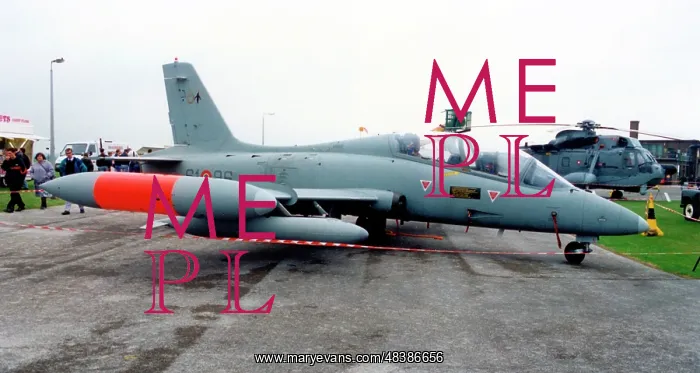 : Aermacchi MB-339A MM55052 - 61-96 : Aermacchi MB-339A MM55052 - 61-96