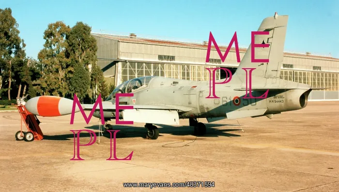 : Aermacchi MB.339A MM54443 - 61-50 : Aermacchi MB.339A MM54443 - 61-50