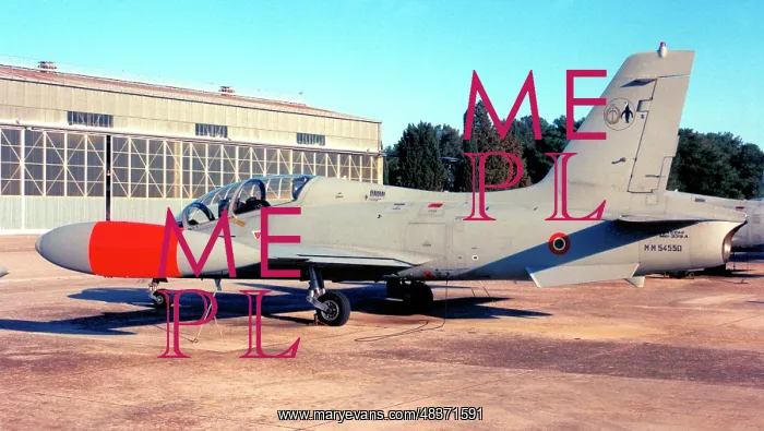 : Aermacchi MB.339A MM54550 - 61-110 : Aermacchi MB.339A MM54550 - 61-110
