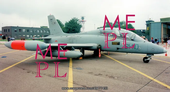 : Aermacchi MB.339A MM54550 - 61-110 : Aermacchi MB.339A MM54550 - 61-110