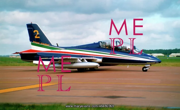 : Aermacchi MB.339PAN MM54480 - 2 : Aermacchi MB.339PAN MM54480 - 2