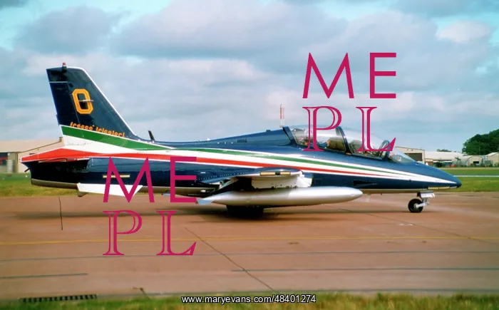 : Aermacchi MB.339PAN MM54539 - 0 : Aermacchi MB.339PAN MM54539 - 0