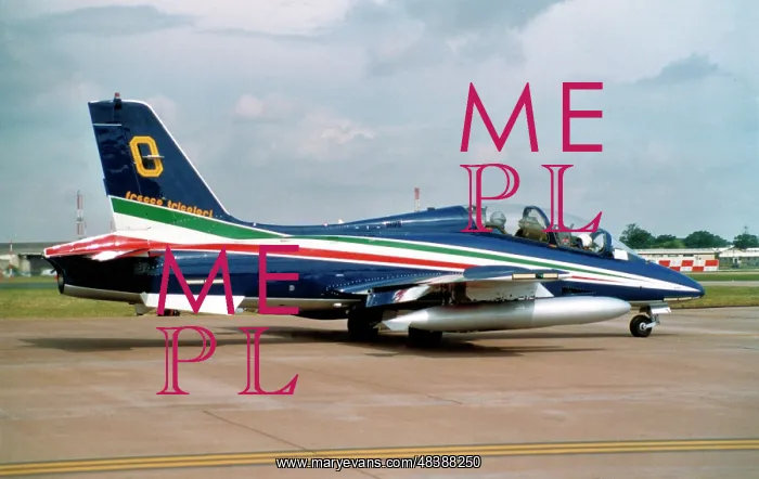 : Aermacchi MB.339PAN MM55053 - 0 : Aermacchi MB.339PAN MM55053 - 0