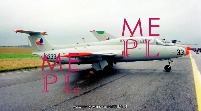 : Aero L-29 Delfin 3233 : Aero L-29 Delfin 3233