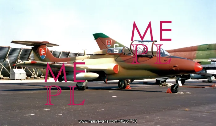 : Aero L-29 Delfin 3250 : Aero L-29 Delfin 3250