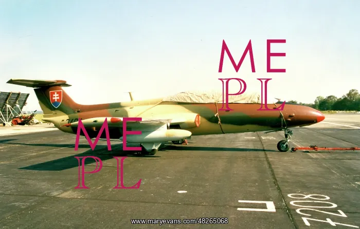  : Aero L-29 Delfin 3404