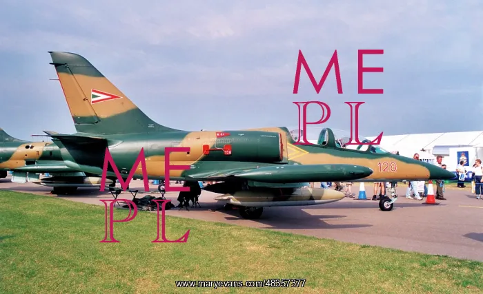 : Aero L-39ZO Albatros 128 : Aero L-39ZO Albatros 128