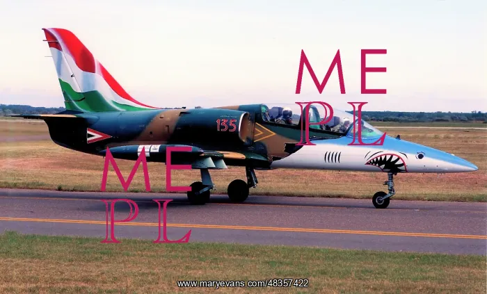 : Aero L-39ZO Albatros 135 : Aero L-39ZO Albatros 135