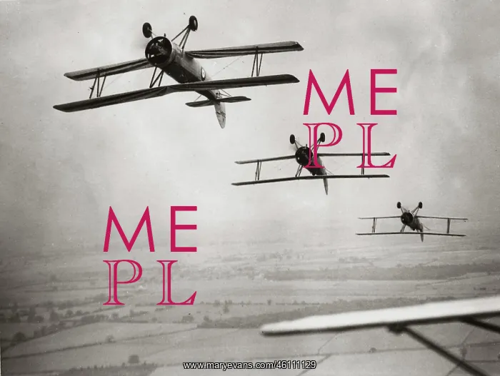 : Aerobatic pilot : Aerobatic pilot