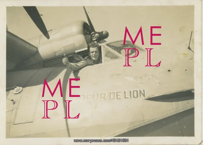  : Aeroplane - Coeur De Lion