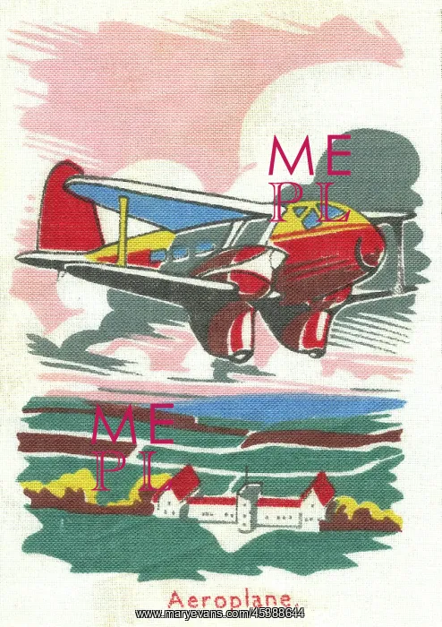 : Aeroplane in flight : Aeroplane in flight