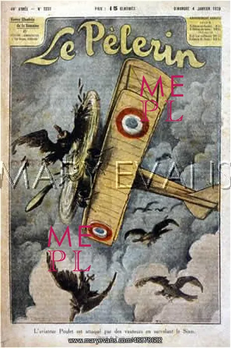 : AEROPLANE AND VULTURES : AEROPLANE AND VULTURES