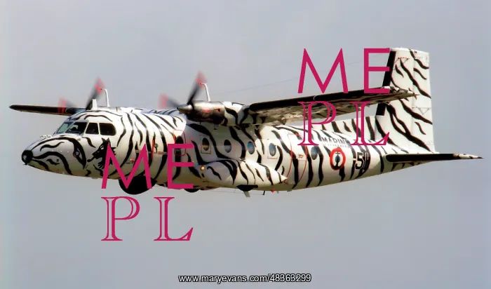 : Aerospatiale N.262E Fregate 51 : Aerospatiale N.262E Fregate 51