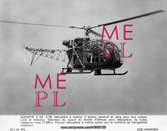 : Aerospatiale SA-315 Alouette II / 2 : Aerospatiale SA-315 Alouette II / 2