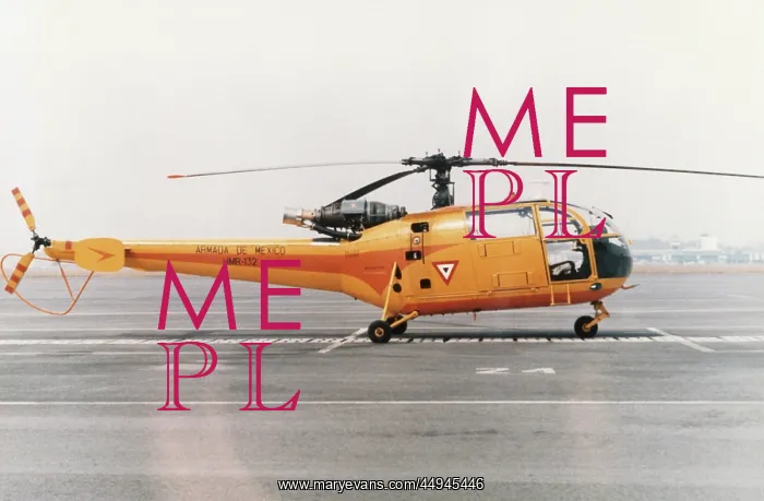 : Aerospatiale SA-316 Alouette III / 3 : Aerospatiale SA-316 Alouette III / 3