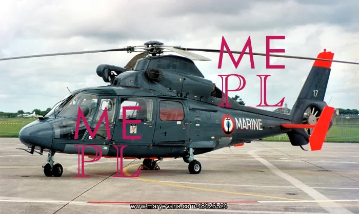 : Aerospatiale SA365SP Dauphin 2 17 : Aerospatiale SA365SP Dauphin 2 17