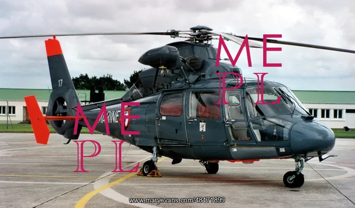 : Aerospatiale SA365SP Dauphin 2 17 : Aerospatiale SA365SP Dauphin 2 17