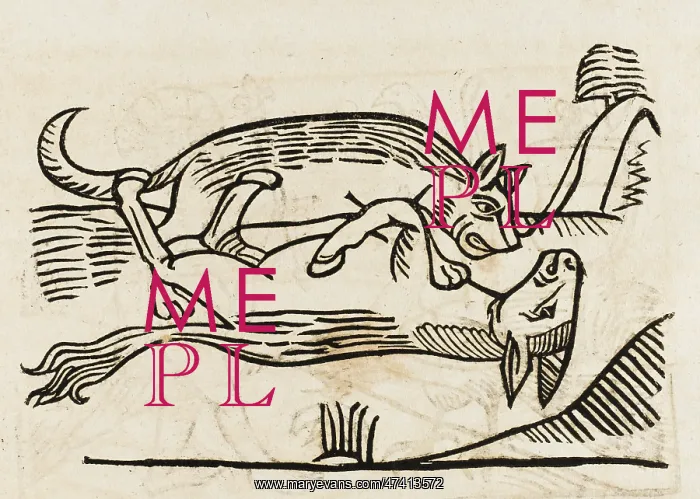 : AESOP / ASS AND WOLF : AESOP / ASS AND WOLF