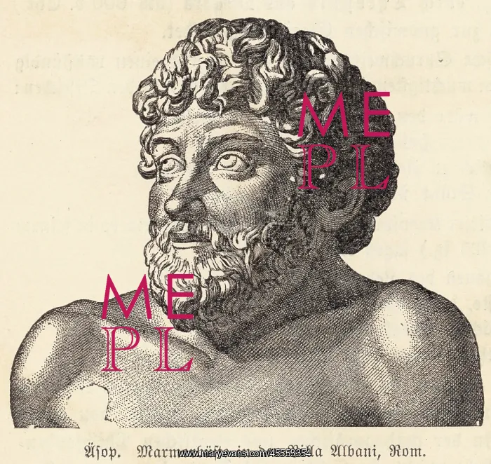 : Aesop - Bust - Rome : Aesop - Bust - Rome