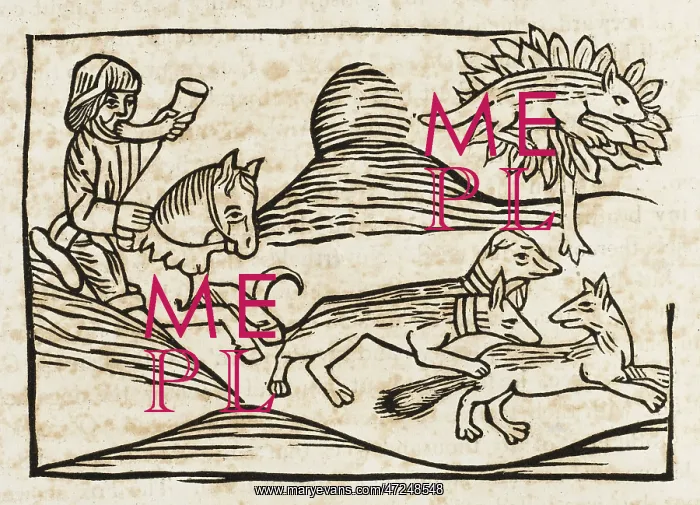 : AESOP / FOX AND CAT : AESOP / FOX AND CAT