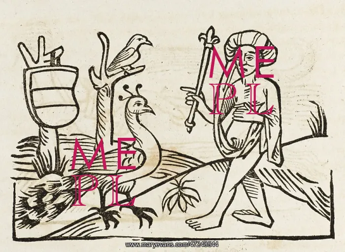 : AESOP / JUNO AND PEACOCK : AESOP / JUNO AND PEACOCK