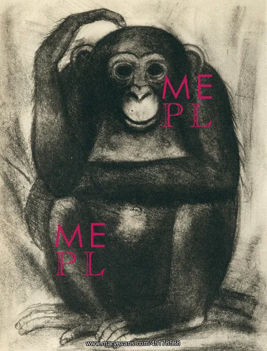 : Aesop's Fables Chimp : Aesop's Fables Chimp