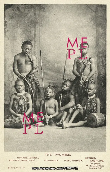 : Afgican Pygmies : Afgican Pygmies
