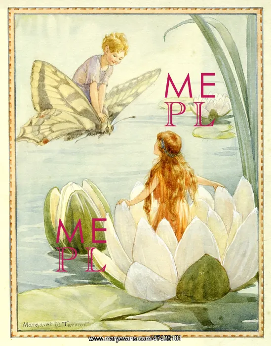 : Afloat on a Waterlily : Afloat on a Waterlily