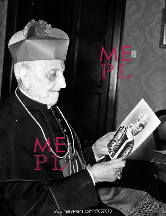 : Afonso Carinci : Afonso Carinci