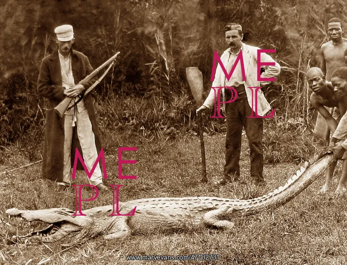  : Africa Big Game Hunter pre-1900