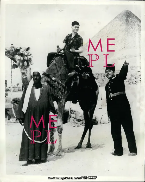 : Africa - Egypt : Africa - Egypt