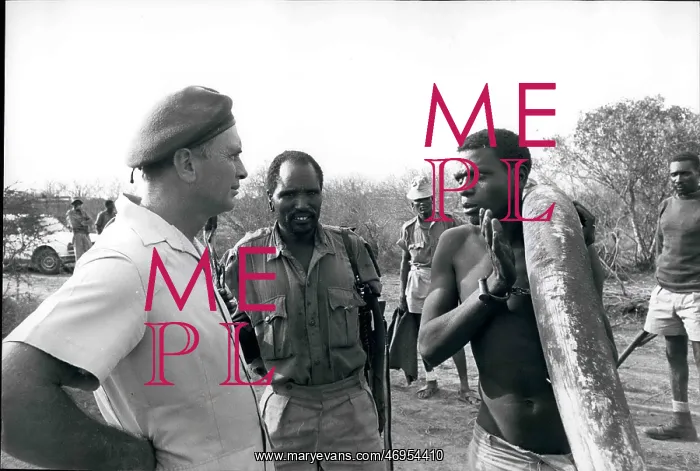 : Africa - Egypt : Africa - Egypt