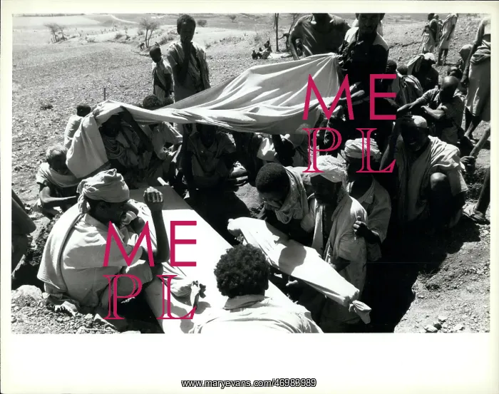 : Africa - Egypt : Africa - Egypt