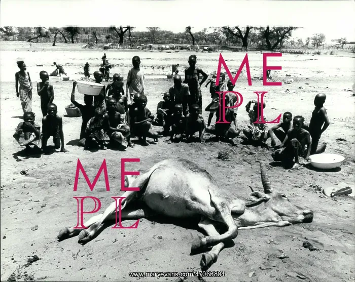 : Africa - Egypt : Africa - Egypt