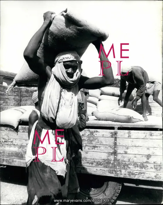 : Africa - Egypt : Africa - Egypt