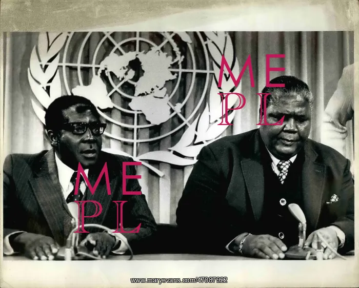 : Africa - Egypt : Africa - Egypt