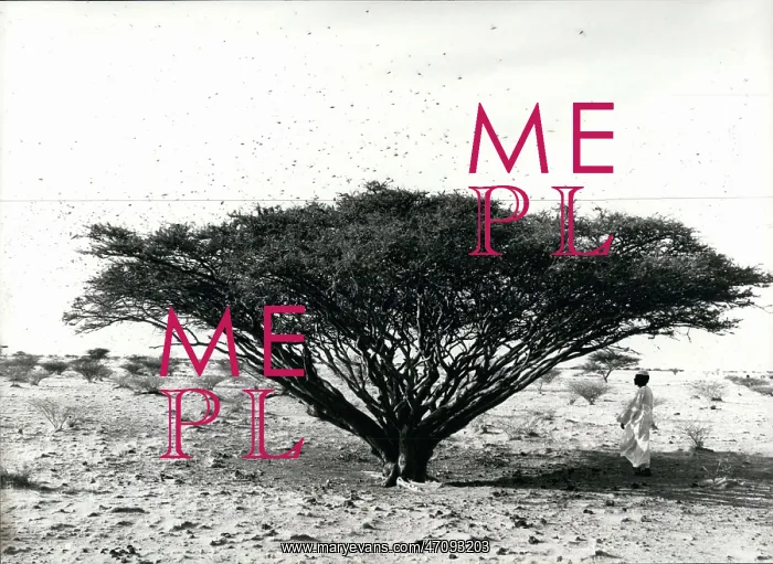 : Africa - Egypt : Africa - Egypt