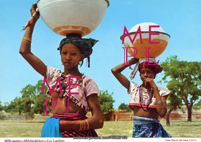 : Africa - Young milkmaids : Africa - Young milkmaids