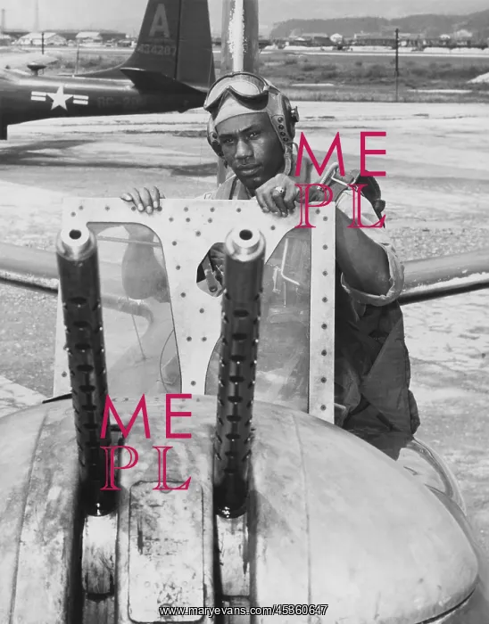 : African American engineer-gunner in Fifth Air Force : African American engineer-gunner in Fifth Air Force