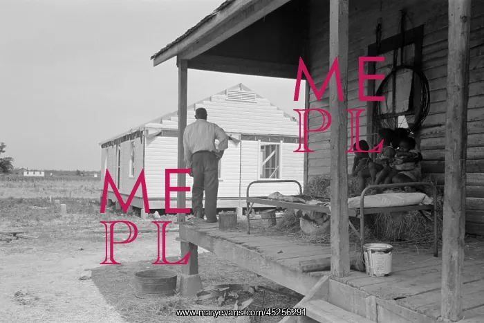 : African American farm worker, looking at a new : African American farm worker, looking at a new