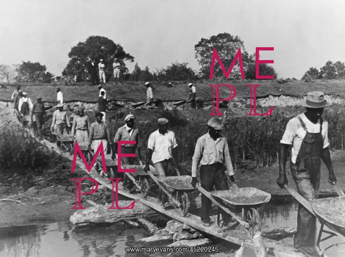 : Fifteen African American laborers with wheel ? : Fifteen African American laborers with wheel ?