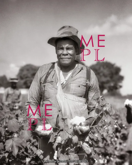 : Serious African American Man Standing in Field : Serious African American Man Standing in Field