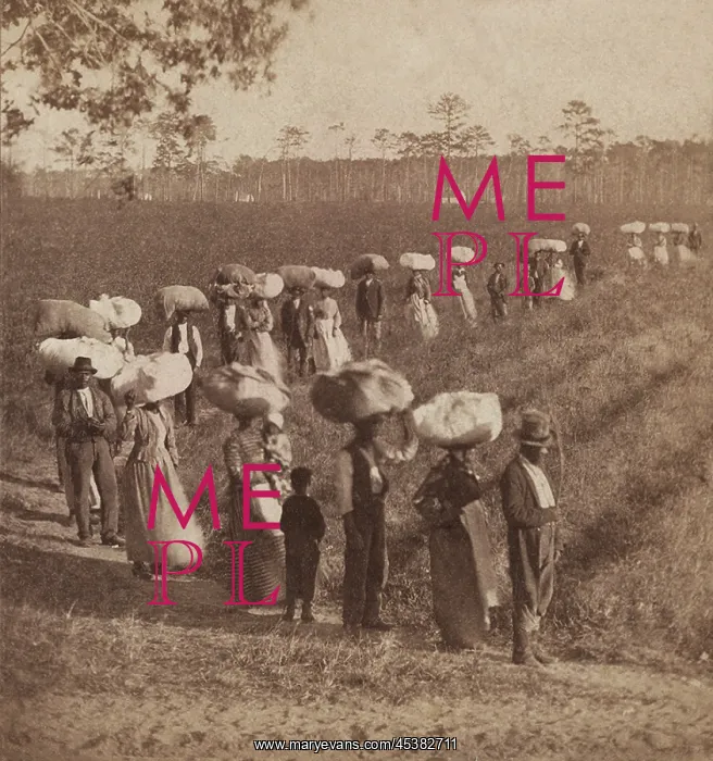 : African American workers returning from picking : African American workers returning from picking